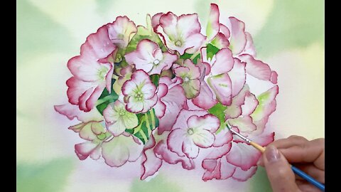 Painting Hydrangeas