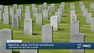 Veteran's mental health and suicide