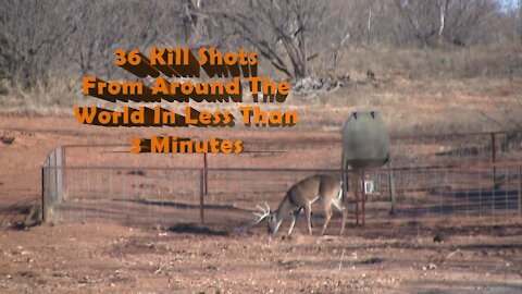 36 Kill Shots under 3 minutes!!!