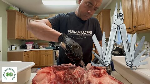 Processing a Pig with a LEATHERMAN!