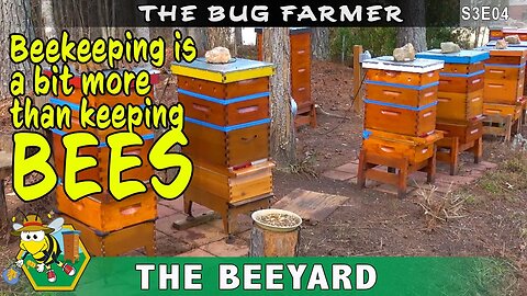 Winter Beekeeping Maintenance - Beekeeping is more than just bees.