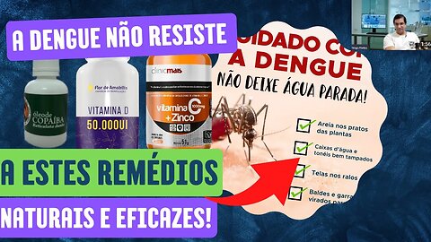 10- A Dengue Não Resiste a Estes Remédios Naturais e Eficazes!