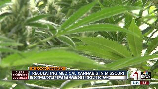 May 15 last day to submit feedback on medical cannabis to state of Missouri