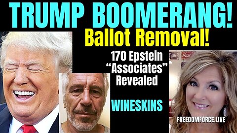12-22-23  Trump Boomerang Ballot Removal - Epstein Associates, Wineskins