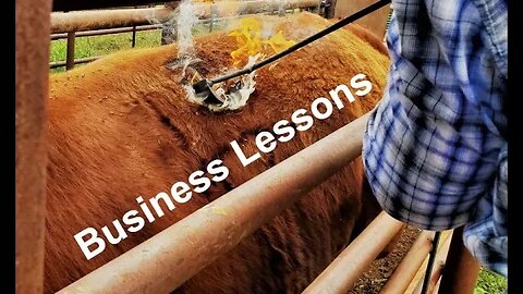 Business Lessons (In the Chute - Round 108)