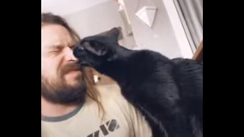 KISS your cat and see how they react #Tiktok Challenge