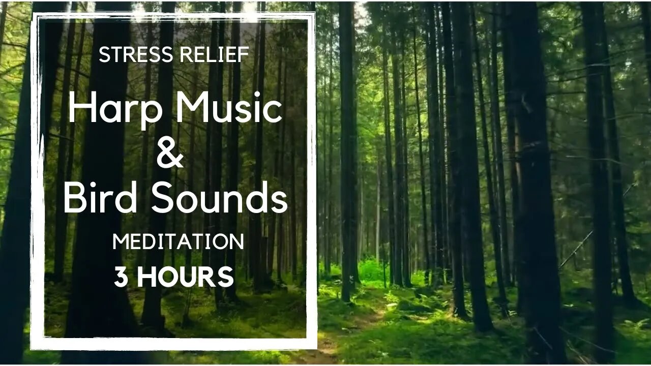 1 Hour Relaxing Music for Stress Relief. Soothing Music