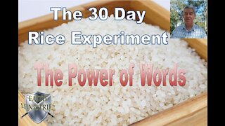 The 30 Day Rice Experiment - The Power of Words
