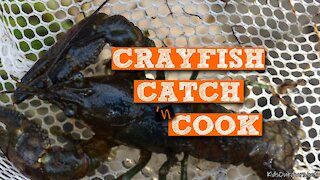 S1:E12 Crayfish Catch 'n Cook | Kids Outdoors