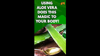 What Does Aloe Vera Do To Your Body? *