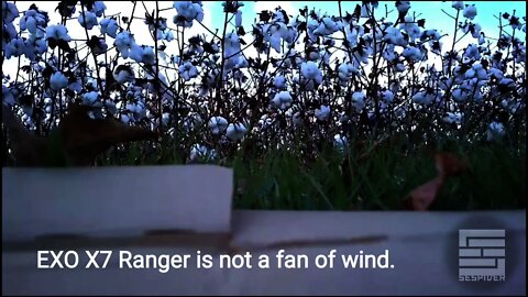 EXO X7 Ranger Drone Hates Light Wind