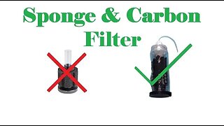 Sponge Filter with Carbon