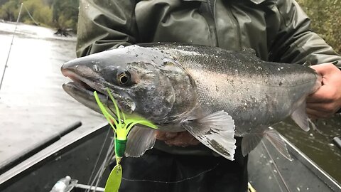 The Best Subsurface Coho Salmon Fishing Bites Caught On Camera!