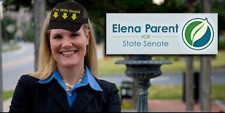 Georgia Democrat Elena Parent Gets Wrecked By Law Professor