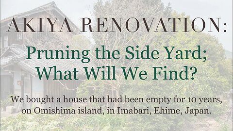 Akiya Renovation » Pruning the Side Yard; What Will We Find? » Omishima, Imabari, Ehime, Japan