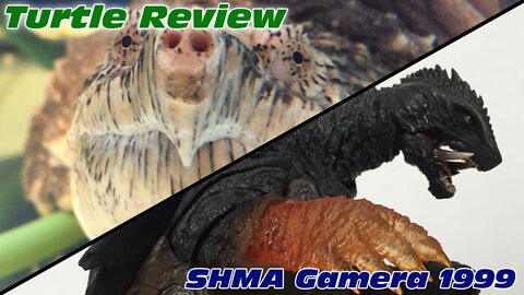 Turtle Review #4 - SH Monsterarts Gamera 1999