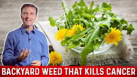 Dr.Berg - A Backyard Weed That Kills Cancer Cells