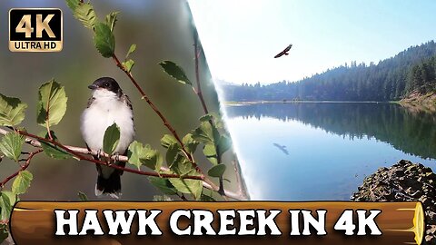 What We Saw at Hawk Creek [4K Ultra HD]
