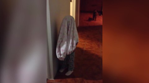 A Tot Girl And A Dog Play New Version Of Hide And Seek