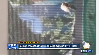 Angry swarm attacks, chases woman into home