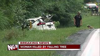 Severe weather: Woman dead after tree falls on her car during storm on Friday