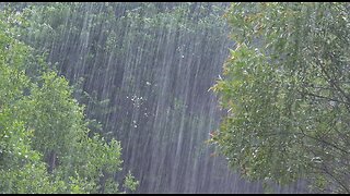 Rain Sounds For Sleeping - 99% Instantly Fall Asleep With Rain And Thunder Sound At Night