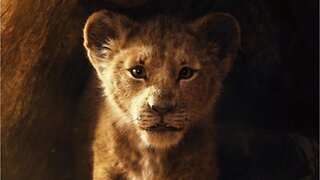Is The Upcoming Remake Of 'The Lion King' Really Live Action?