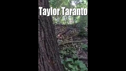 Excerpts from Taylor Taranto’s livestream from @obama ‘s house. “I’ve got them surrounded”