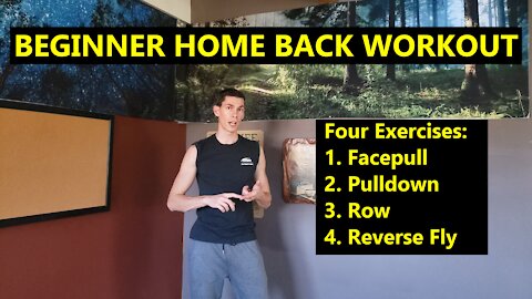 Beginner Home Workout With Minimal Equipment | BACK FOCUS | 20 Minute Workout