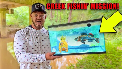 Creek Fishing For NEW Aquarium Pet! (GONE WRONG!)