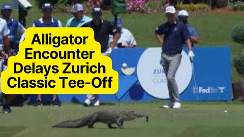 Alligator Encounter Delays Zurich Classic Tee-Off