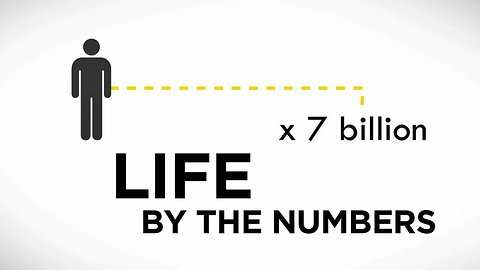 Life by the Numbers