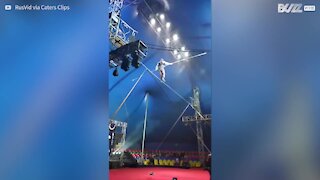 Cirque: la chute spectaculaire d'un funambule