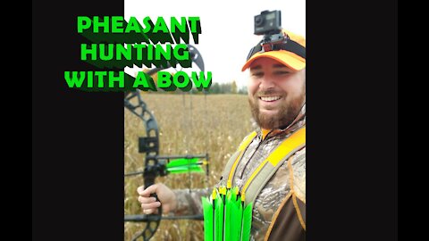 BOW Hunting Pheasants and Chuckars