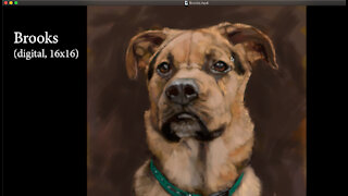 Brooks – A Digital Dog Portrait