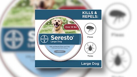 EPA Documents Link Seresto Flea Collars To Pet Deaths, Injuries