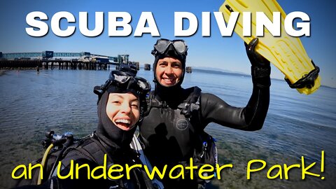 We FINALLY got to scuba dive the UNDERWATER PARK in Edmonds, WA!!! [MV FREEDOM SEATTLE]