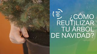 Sin desperdicios: cómo reutilizar tu árbol de Navidad