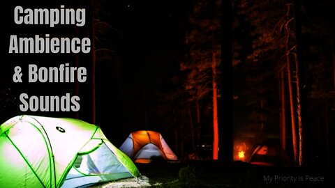 Camping Ambience with Wildlife & Bonfire Sounds | No Ads | Background Noise | Sleep | Relax | Chill