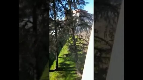 Vento forte, alberi caduti a Milano oggi