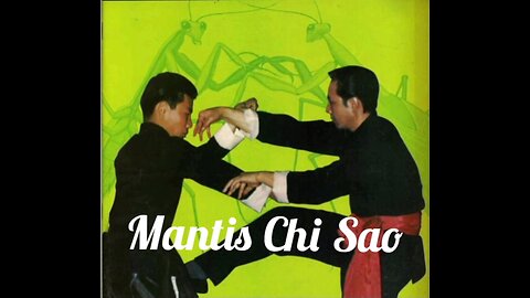 The Rattan Ring - Mantis Chi Sao