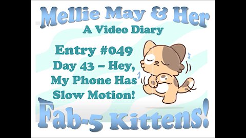Video Diary Entry 049: Day 43 WOW! My Phone Has Slow Motion Video!