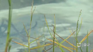 Winter Haven Hospital fuel tank spills into Lake Martha