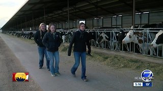 4-H girls win national dairy competition