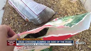 More dead animals found dumped in east Las Vegas