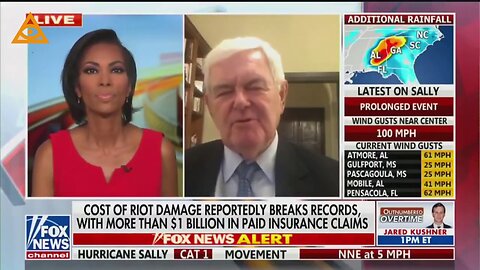 Fox News shuts down Newt Gingrich for linking George Soros to Violent Protests.