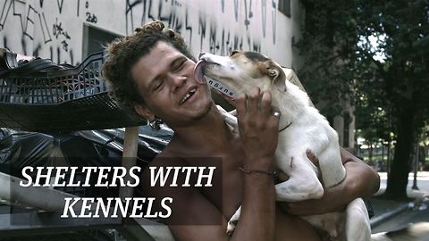 São Paulo are making homeless shelters dog friendly