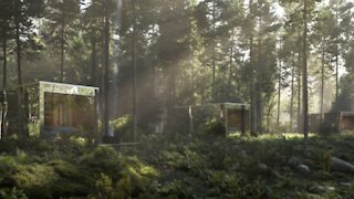 You Can Sleep In 'Invisible' Cabins Hidden In A Secret Forest Near Toronto This Summer
