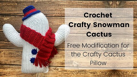 Snowman Cactus Pillow- Free Crafty Cactus Pillow Modification