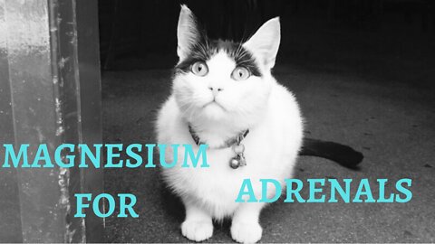 Magnesium for adrenals